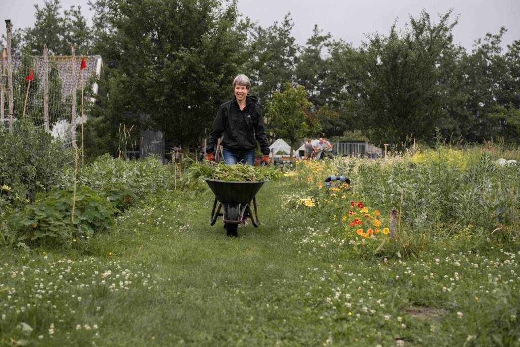 Help mee als vrijwilliger - Vrijwilligers De Groentedeler