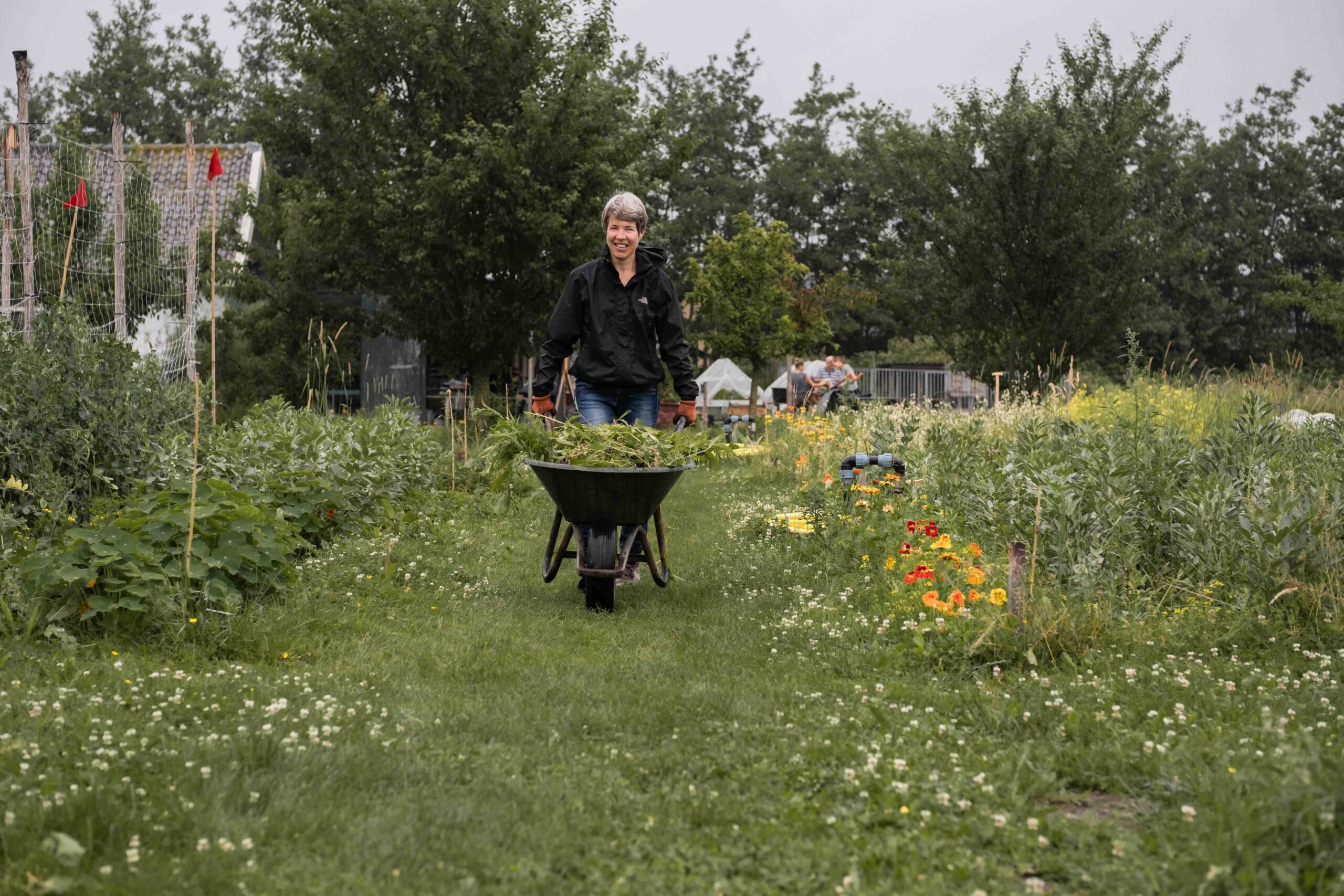 Vrijwilligers De Groentedeler