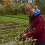 Mariska aan het werk bij Zelfoogsttuin Bij Mei