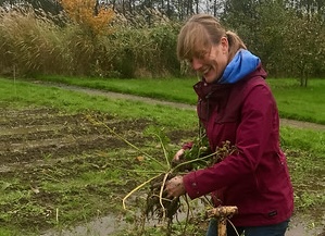 Mariska aan het werk bij Zelfoogsttuin Bij Mei